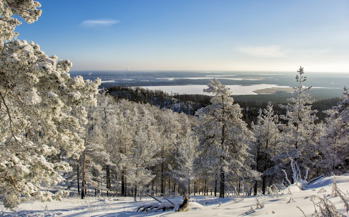 Winter in December - Dmitry Ozersky