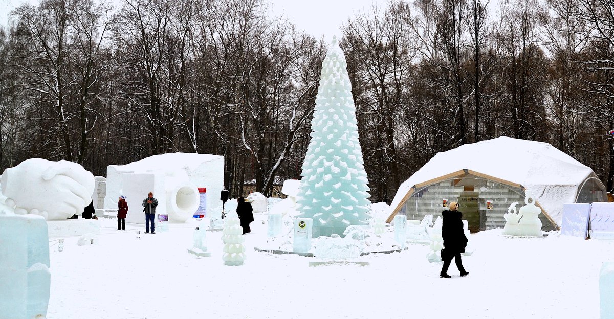 Ёлка в снежном городке - Владимир Болдырев