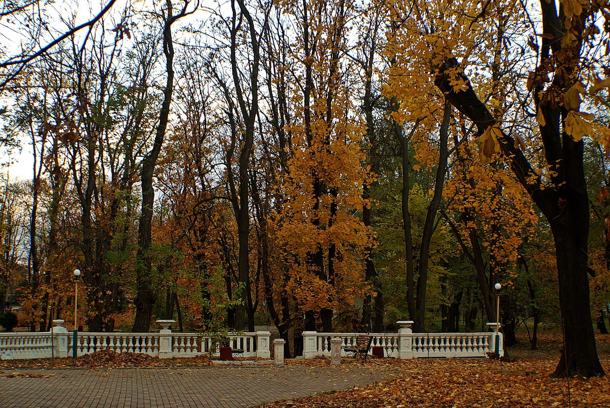 осенний парк - Александр Корчемный