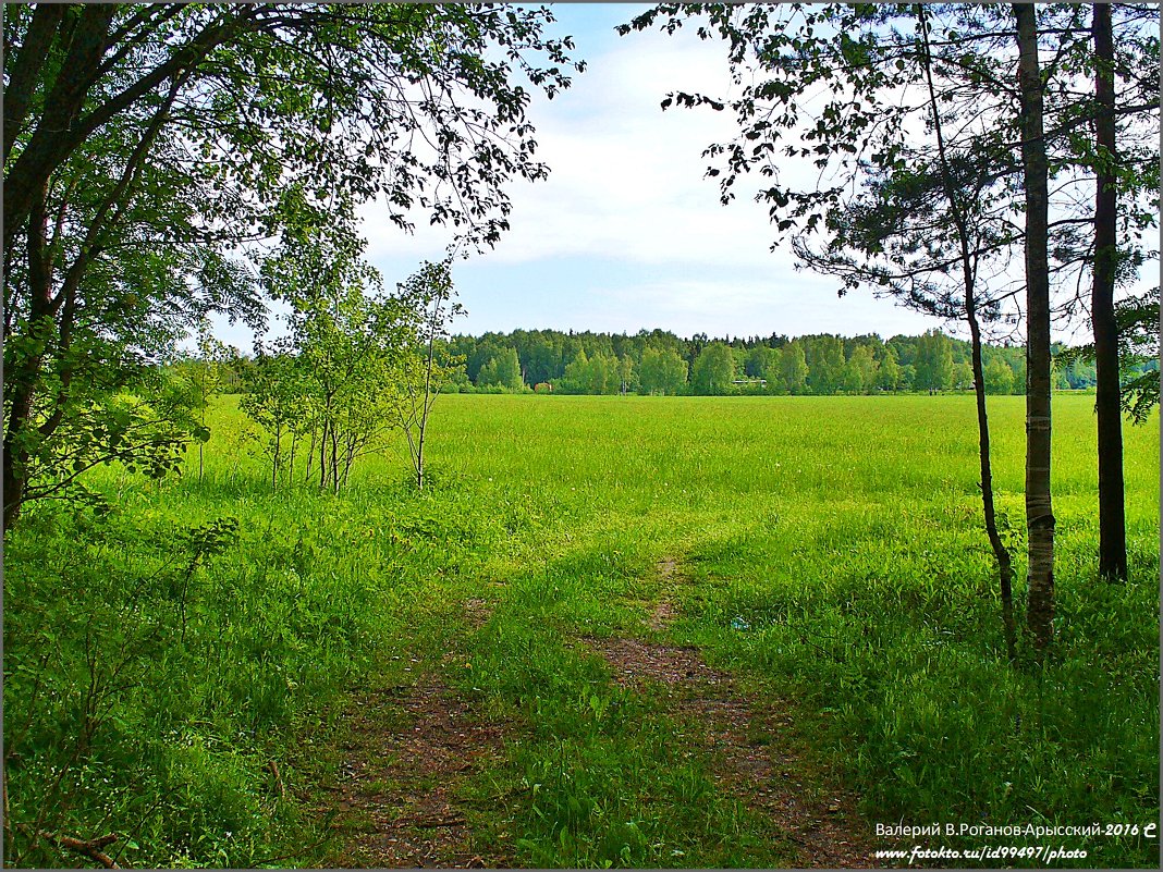 РУССКОЕ ПОЛЕ - Валерий Викторович РОГАНОВ-АРЫССКИЙ РУССКОЕ ПОЛЕ - Валерий Викторович РОГАНОВ-АРЫССКИЙ