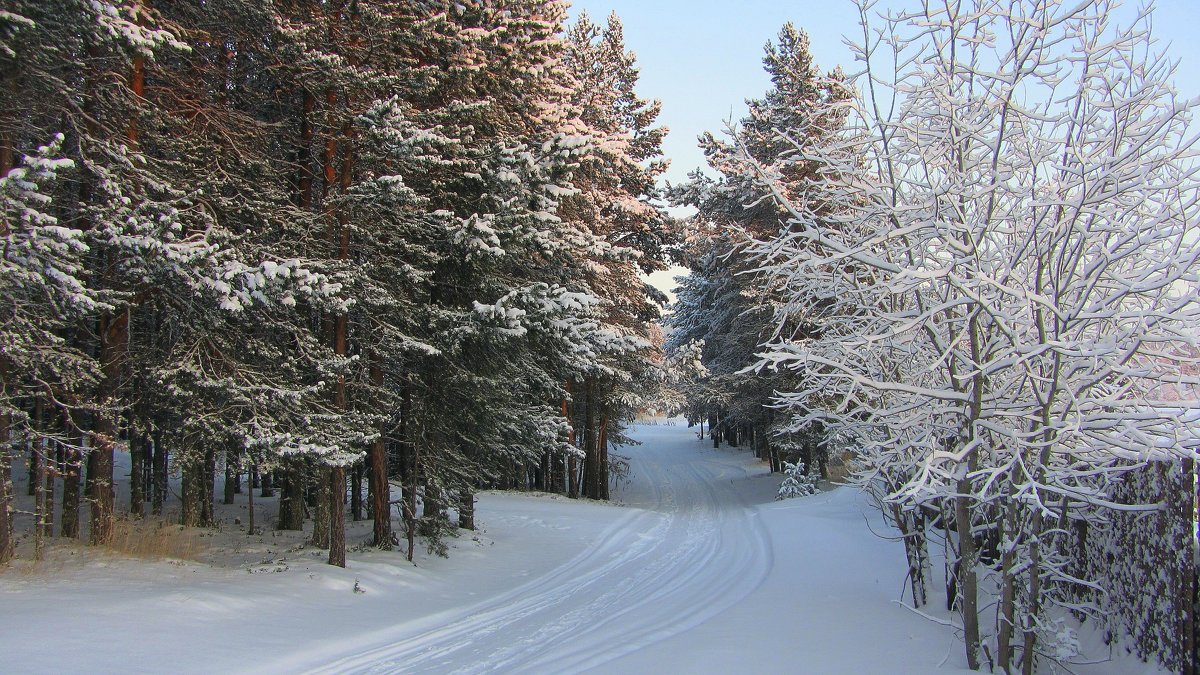 *** - Галина Полина