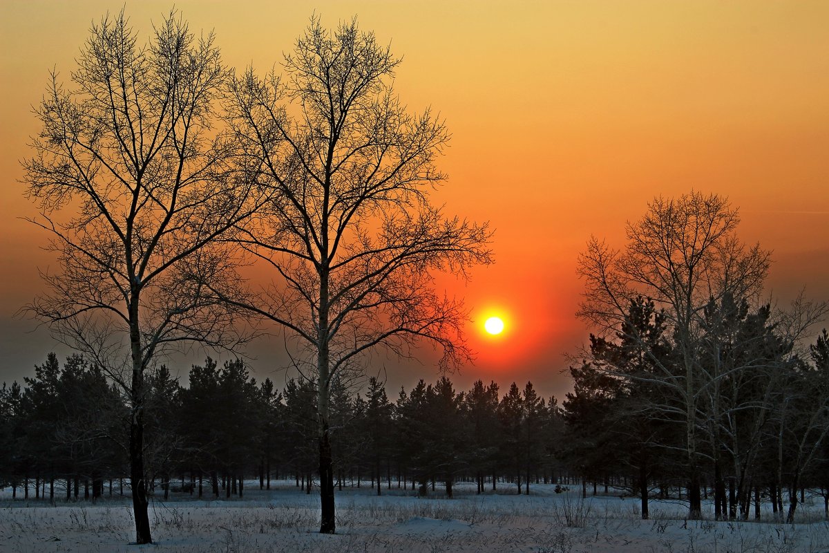 -24С. - Vlad Borschev