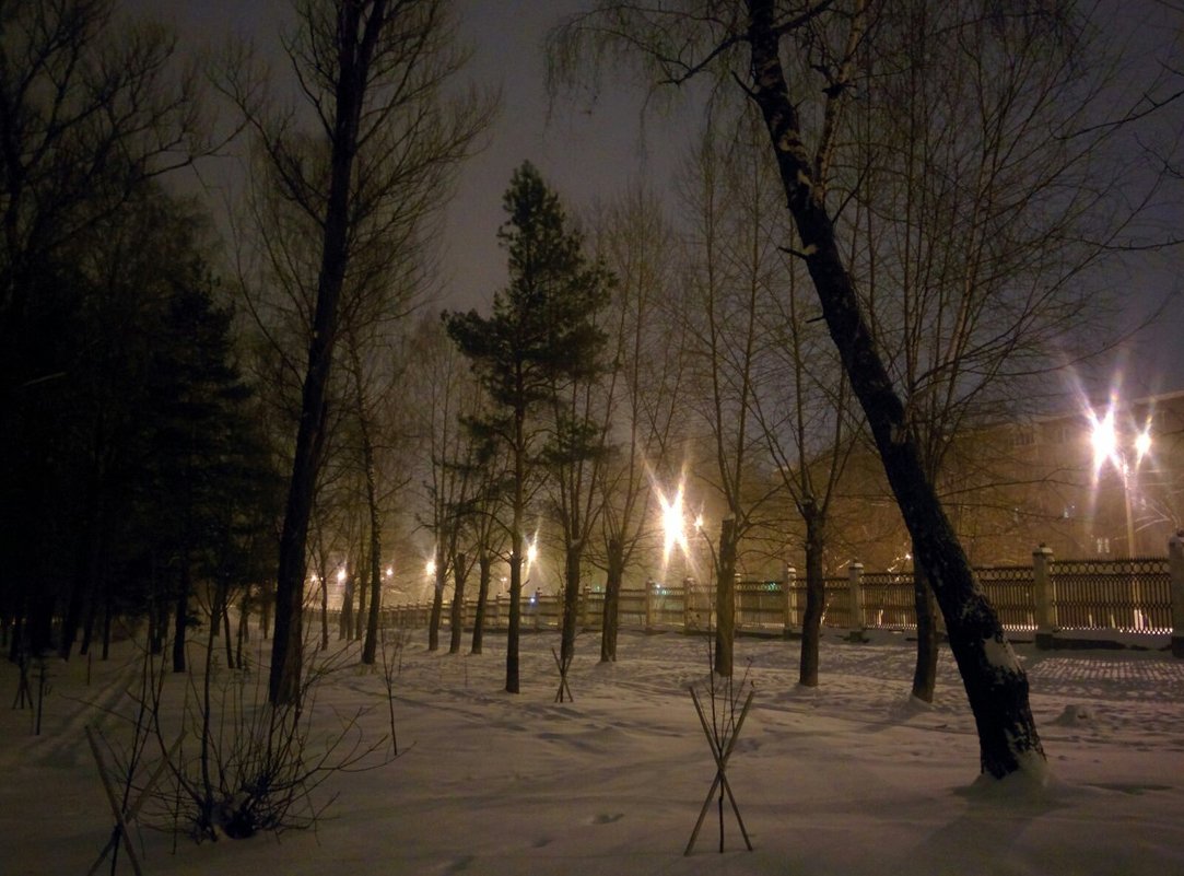 все спят - Алексей Лукаев