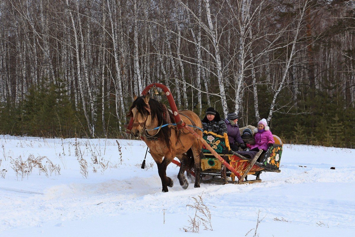 смотрю, поднимается медленно в гору... лошадка... - Ирина 