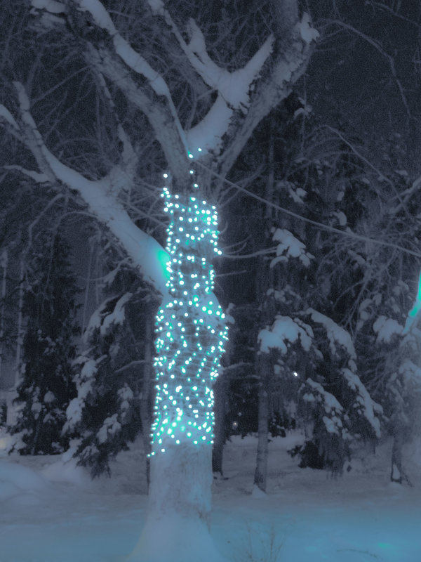 деревья - Юлия Денискина