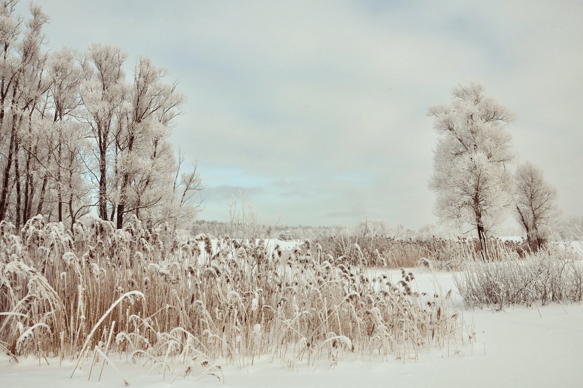 Мороз. - АЛЕКСАНДР СУВОРОВ