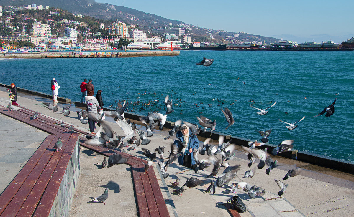 Февральские окна в Ялте - Юрий Яловенко Февральские окна в Ялте - Юрий Яловенко