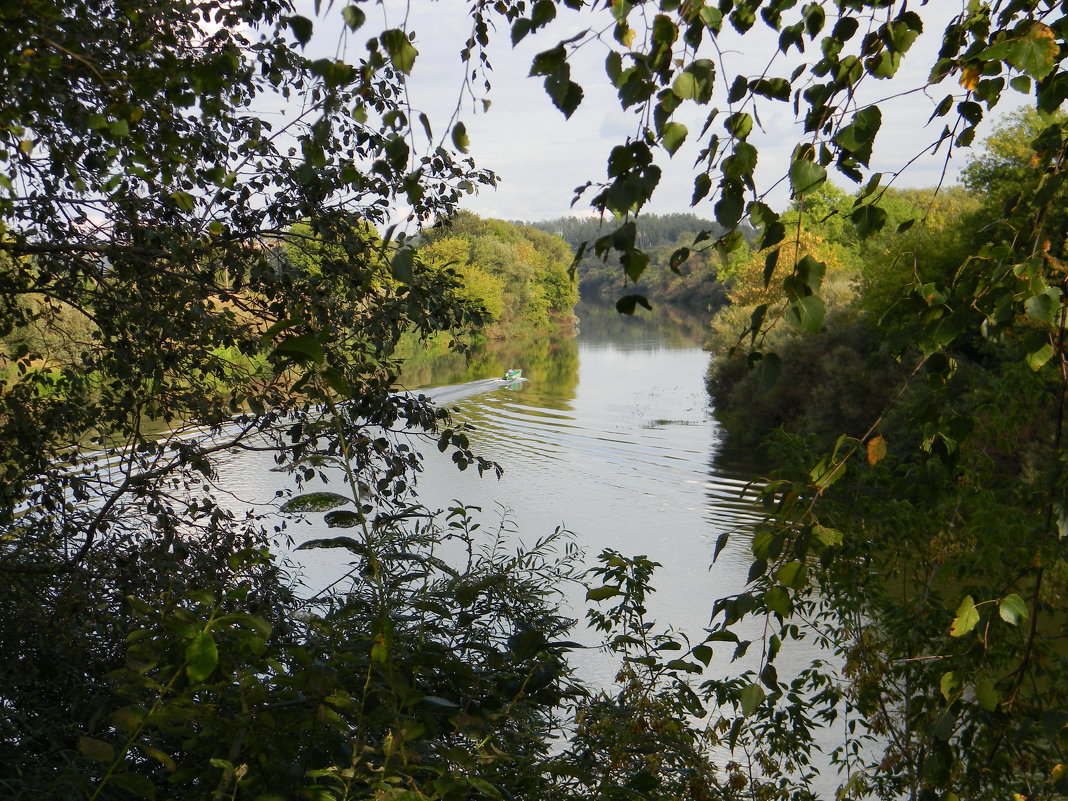 ...Днепр - Верблюжья Колючка 