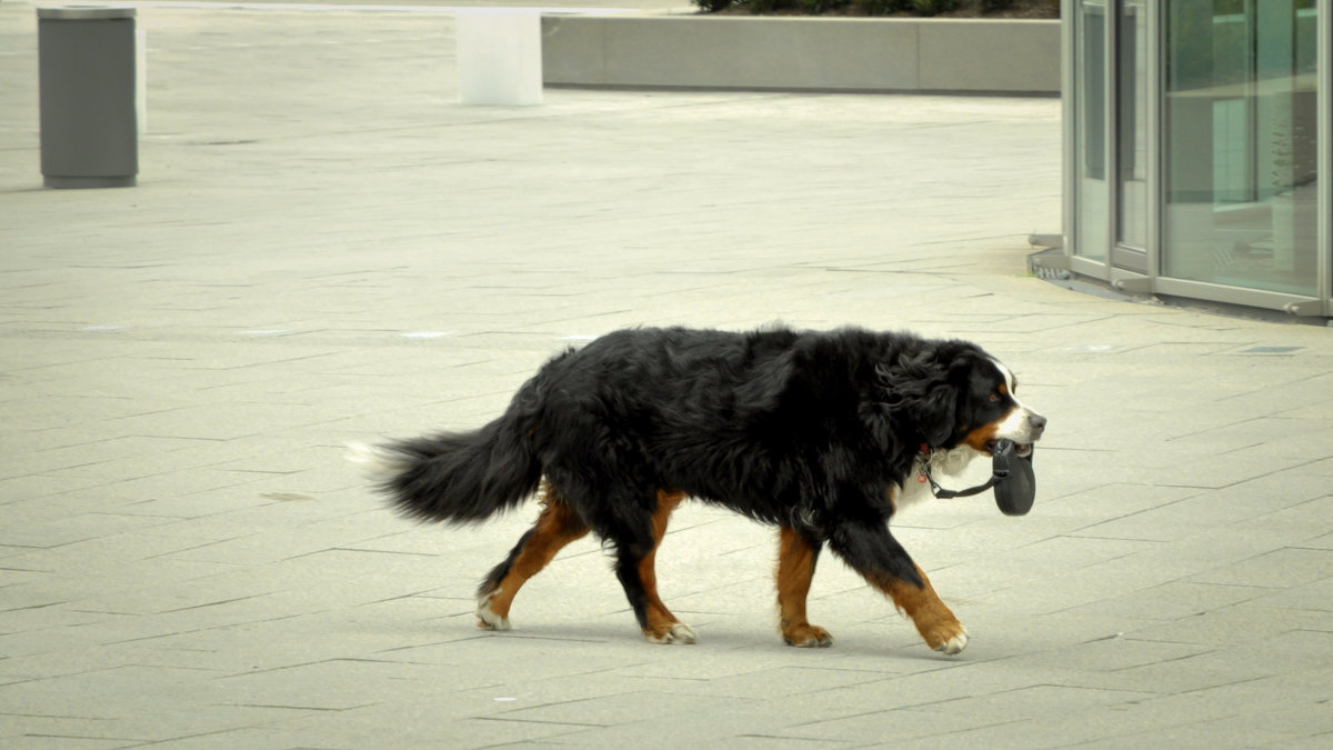 → Самодостаточность - человечик prikolist
