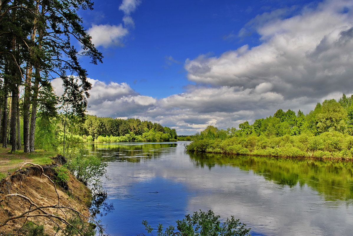 Тишина. - Валера39 Василевский.