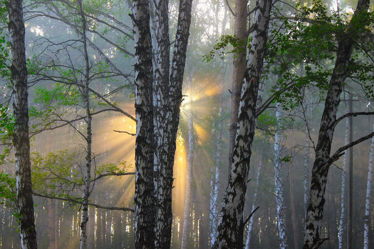 Встречаем солнце - Сергей Чиняев Встречаем солнце - Сергей Чиняев