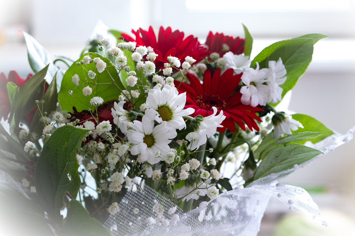 цветы - Дмитрий Дербенев