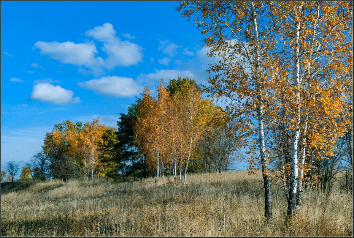 *** - Александр Лихачёв