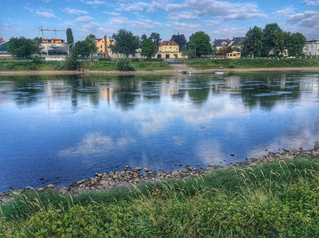 Эльба в Дрездене, Германия - Николай Милоградский