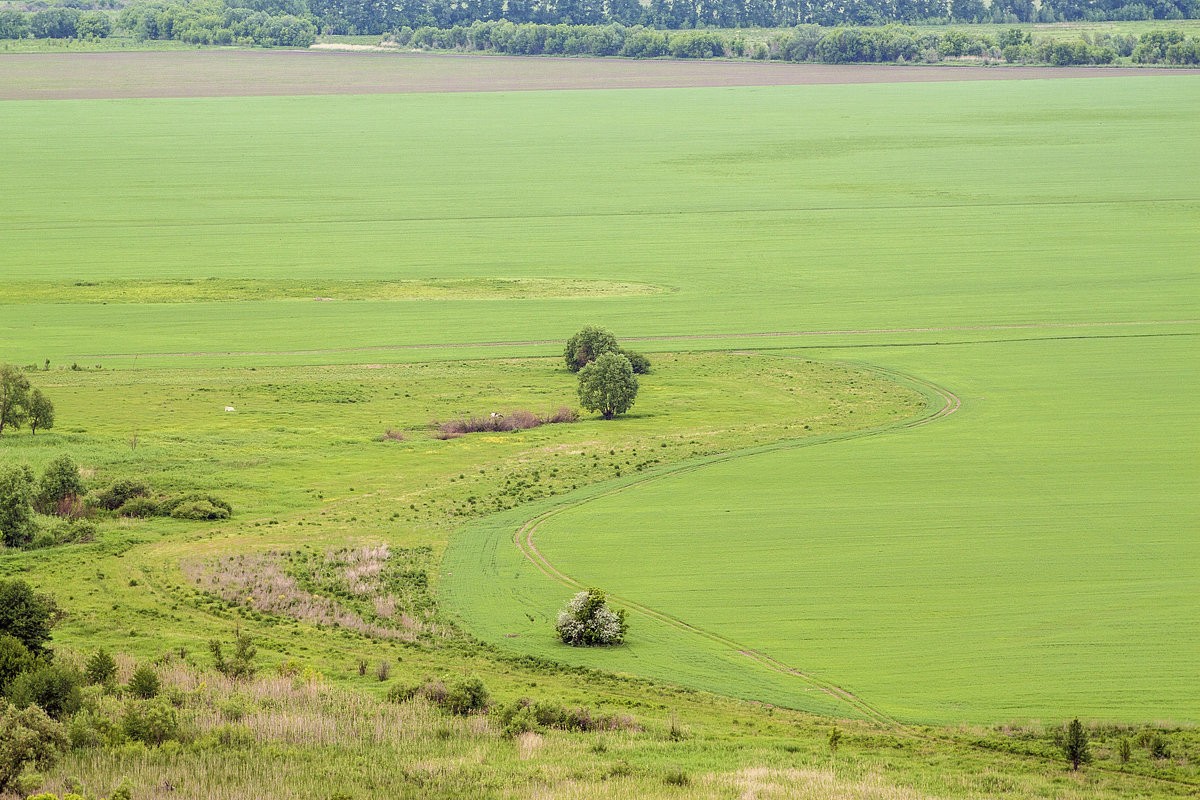 *** - Юрий Клишин *** - Юрий Клишин