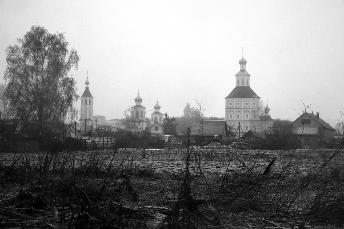 Иоанно – Богословский Макаровский мужской монастырь. Село Макаровка. Республика Мордовия - Alexandr Shemetov