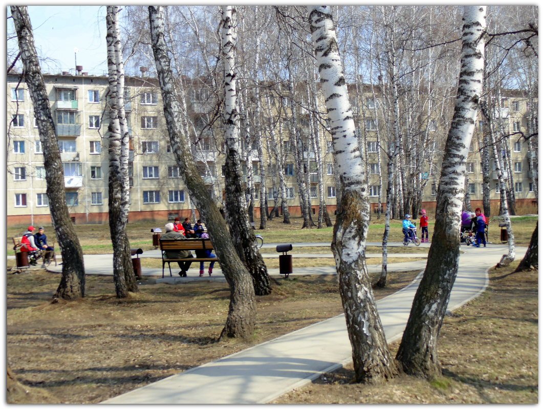 Отдых в сквере. - Мила Бовкун Отдых в сквере. - Мила Бовкун