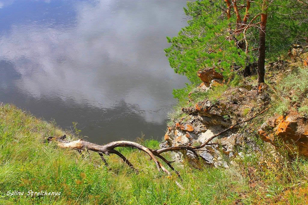 Великолепия исток по воздуху разлит... - Галина Стрельченя