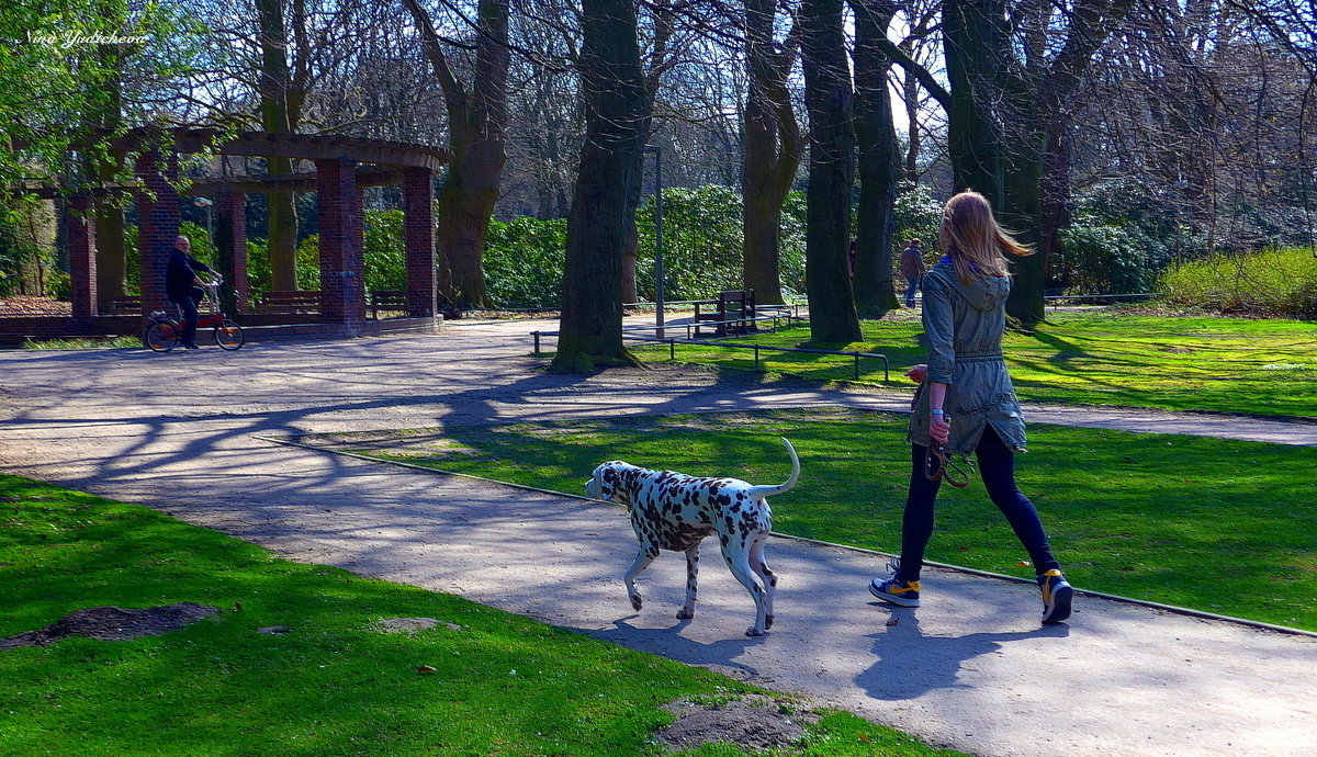 Hamburg. Stadtpark - Nina Yudicheva