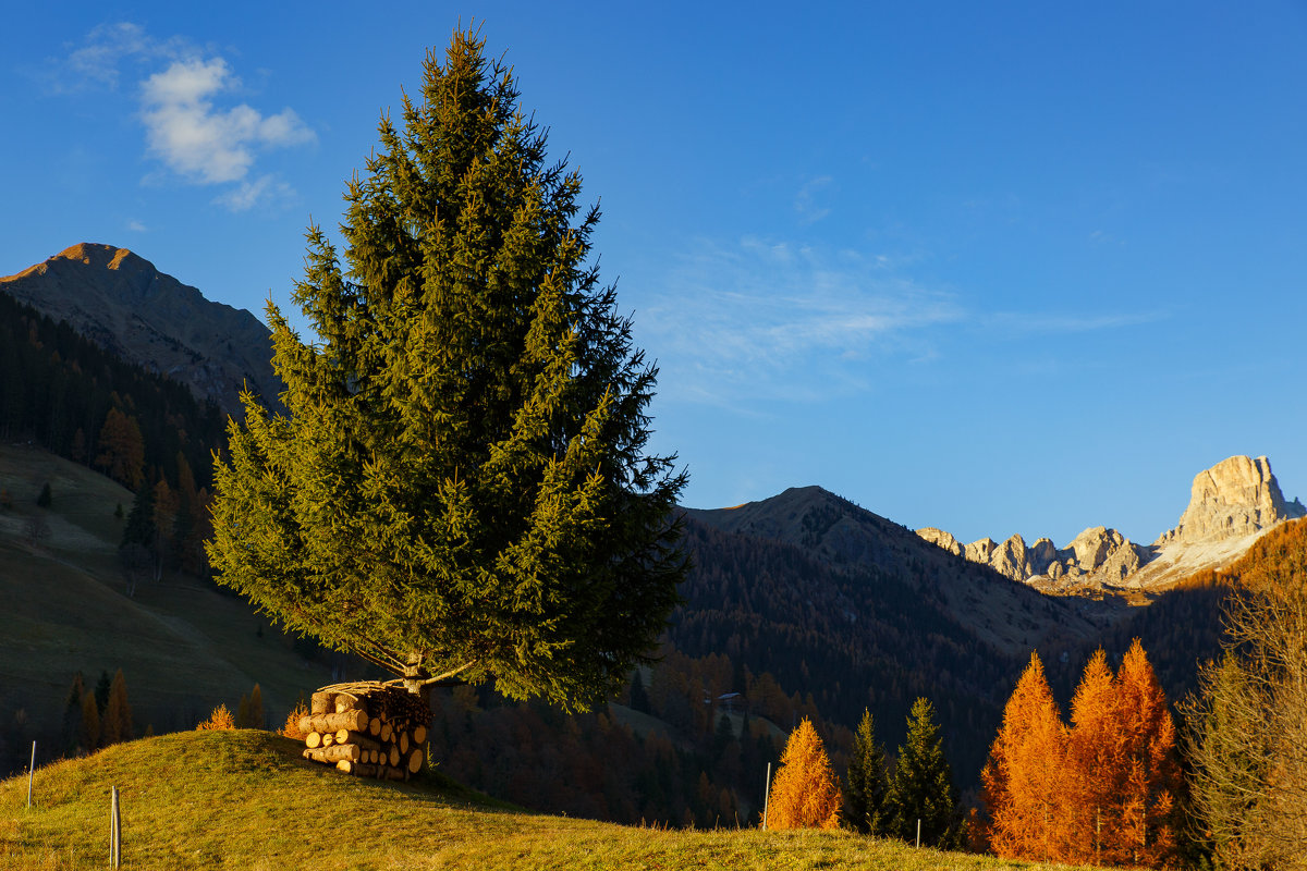 Verso Passo Giao - Selva di Cadore - Юрий Куко'