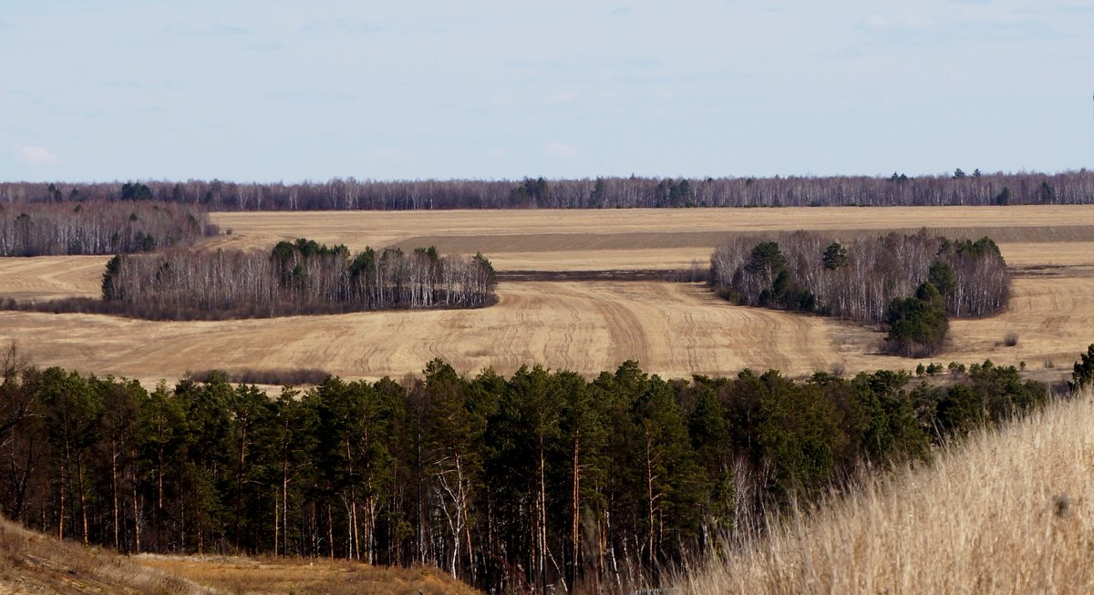 В полях - IURII 