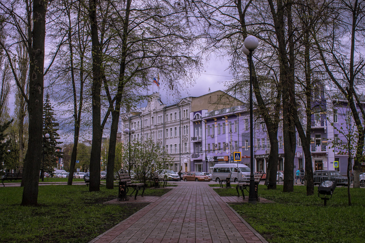 В городском сквере - Лариса Дорошенко