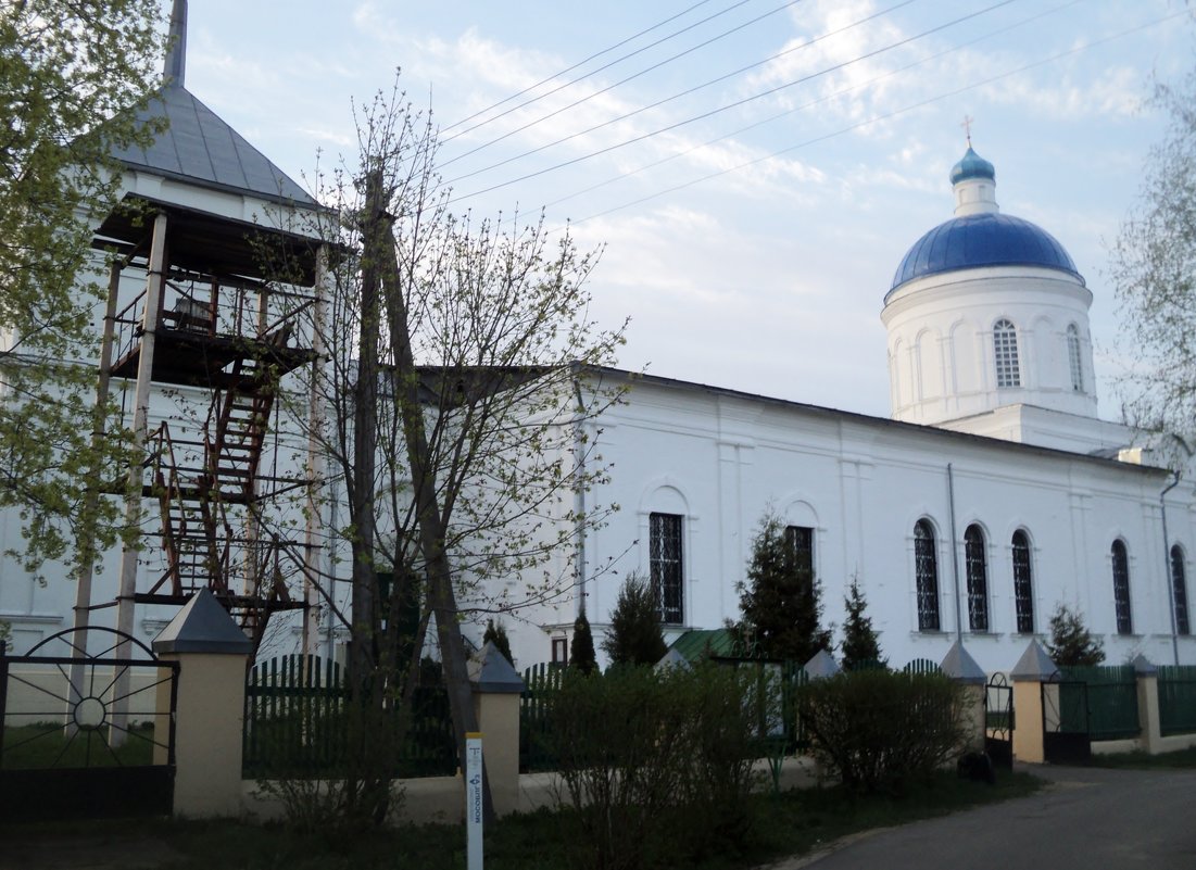 Церковь Димитриевская в селе Дмитровский погост (Коробово) Шатурский район Московская область - Ольга Кривых