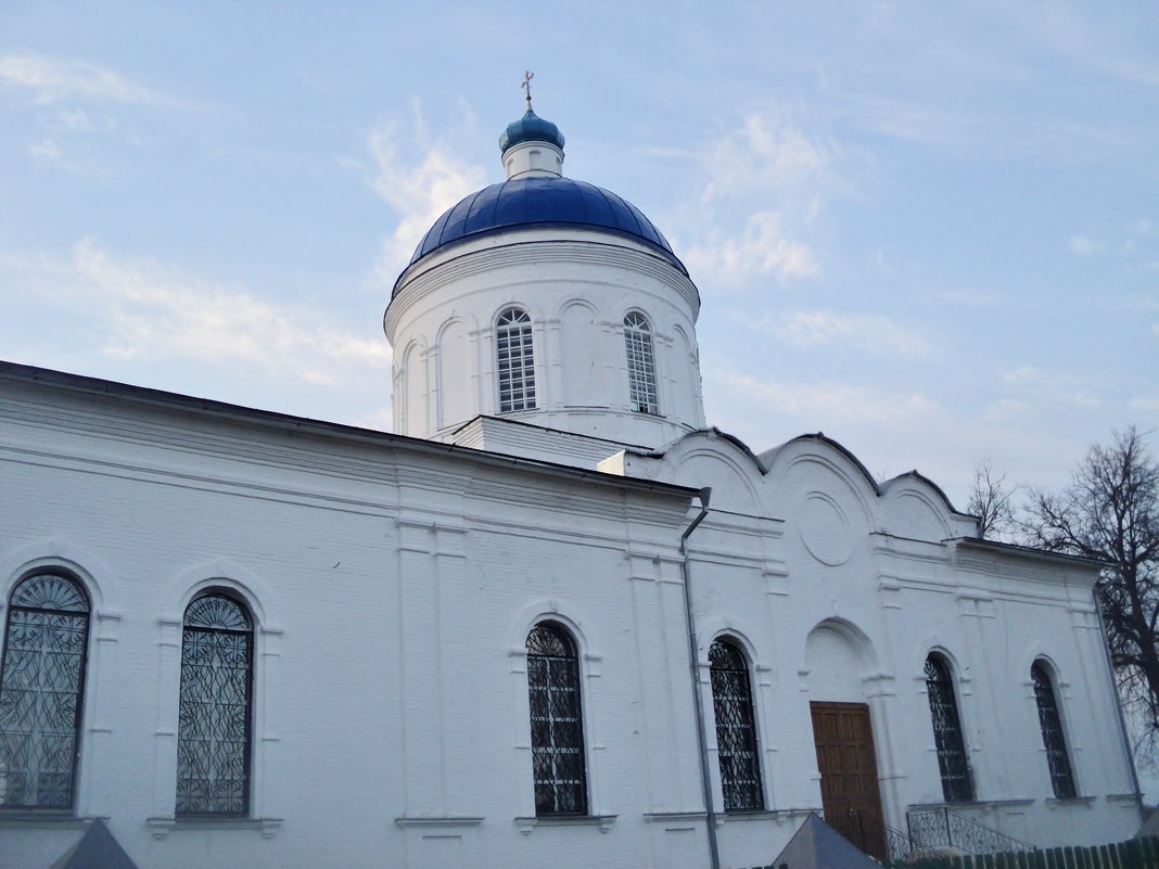 В селе Дмитровский погост (Коробово) Шатурского района церковь Димитриевская - Ольга Кривых