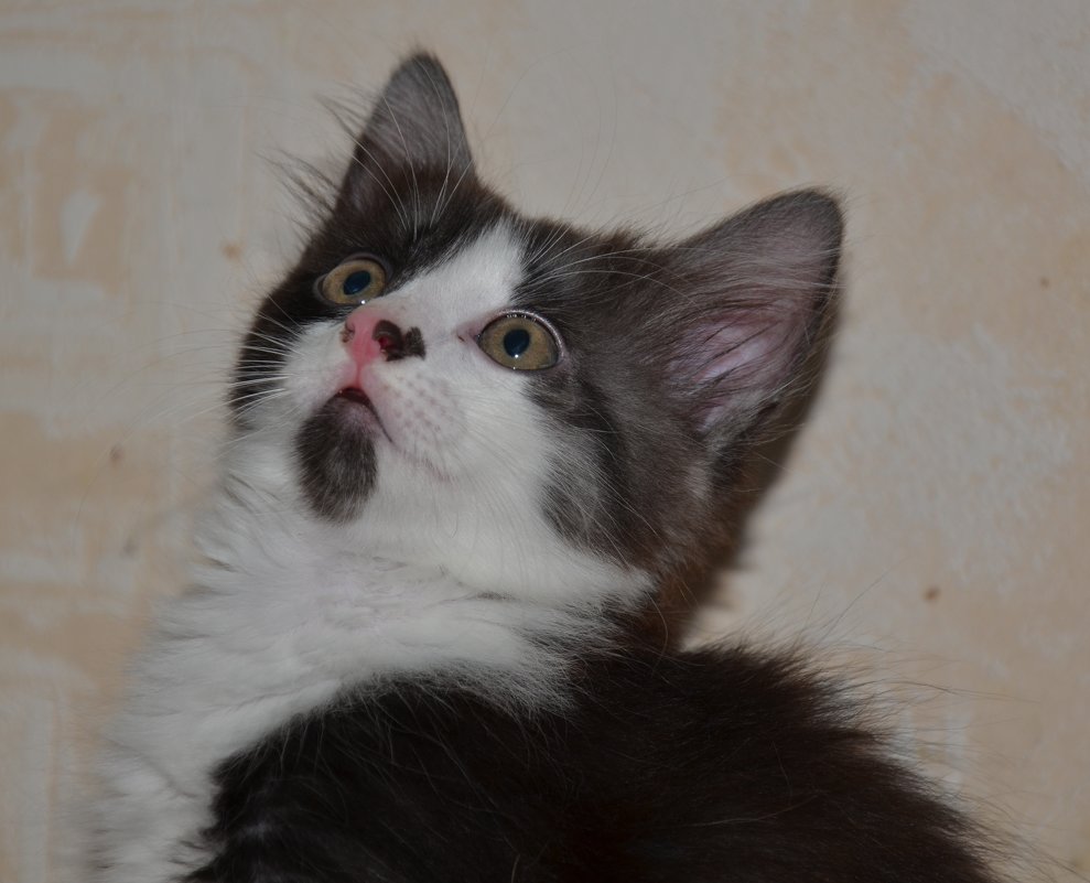 Удивление)) - Наталья Мельникова