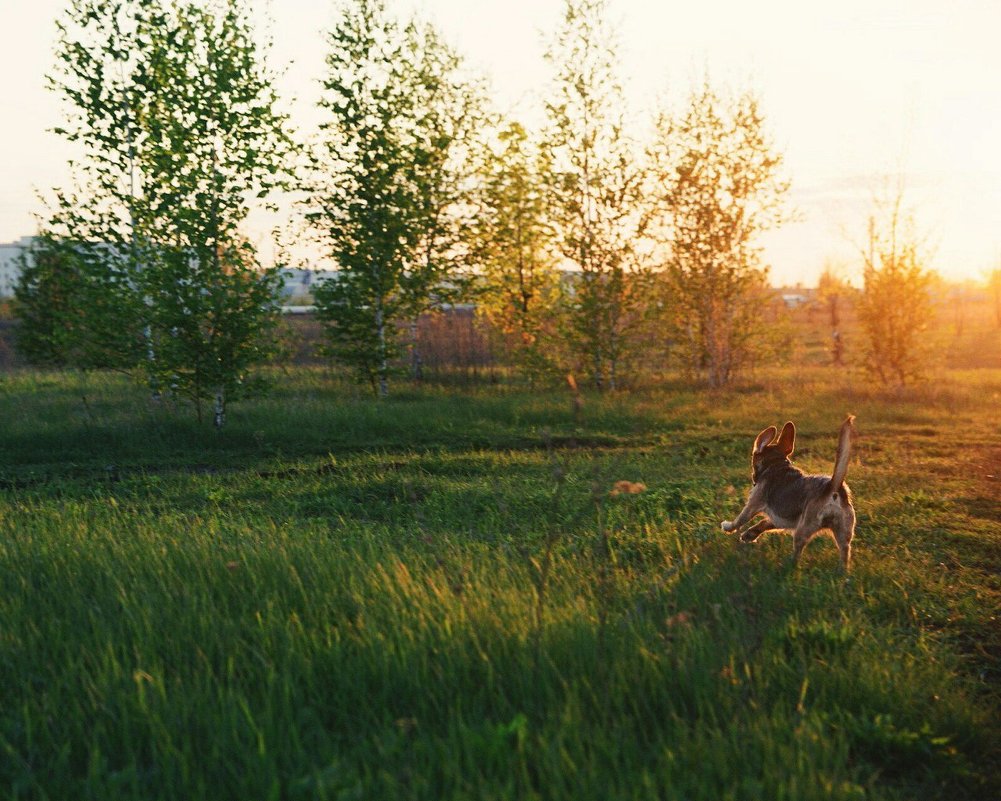 В закат - Юлия Ярушкина