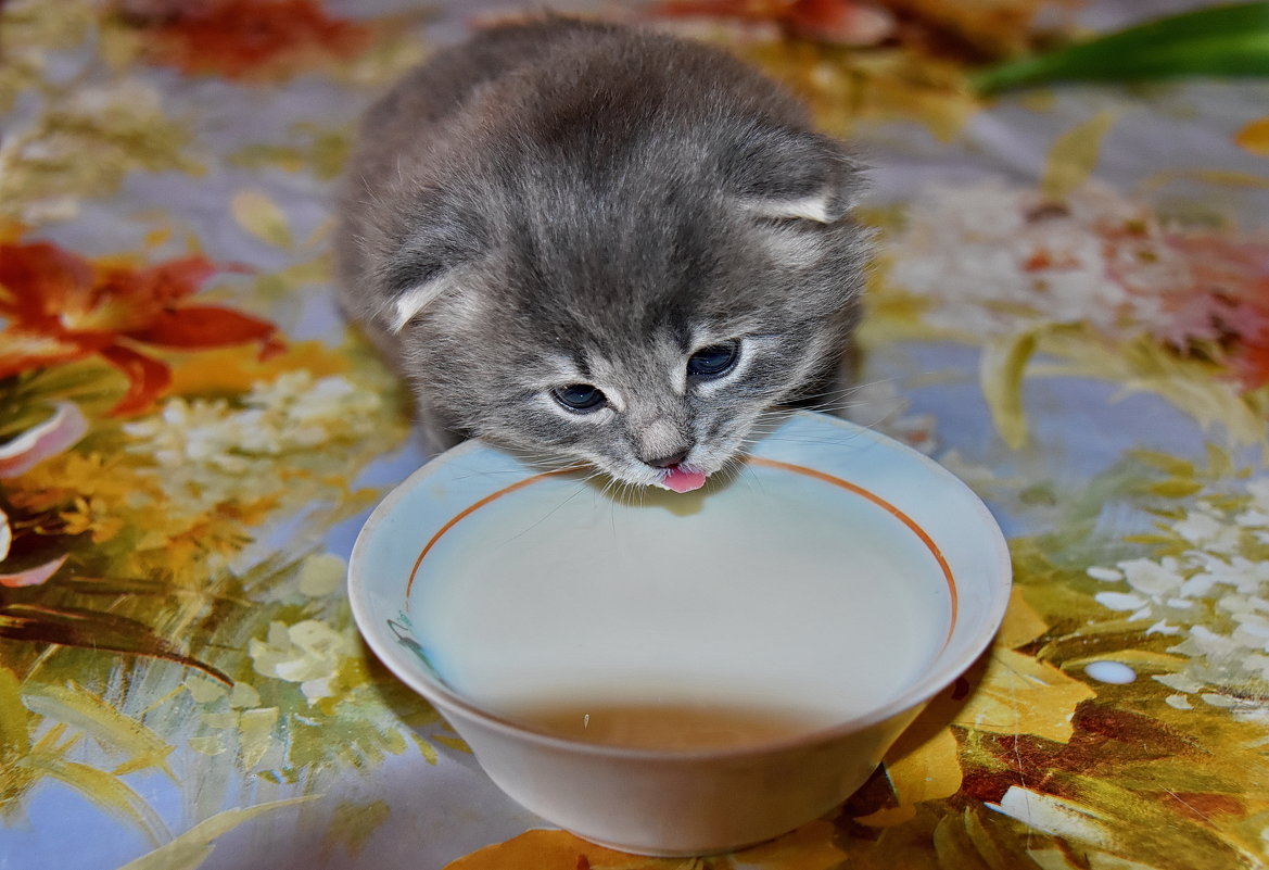 Первая  проба.... - Валера39 Василевский.