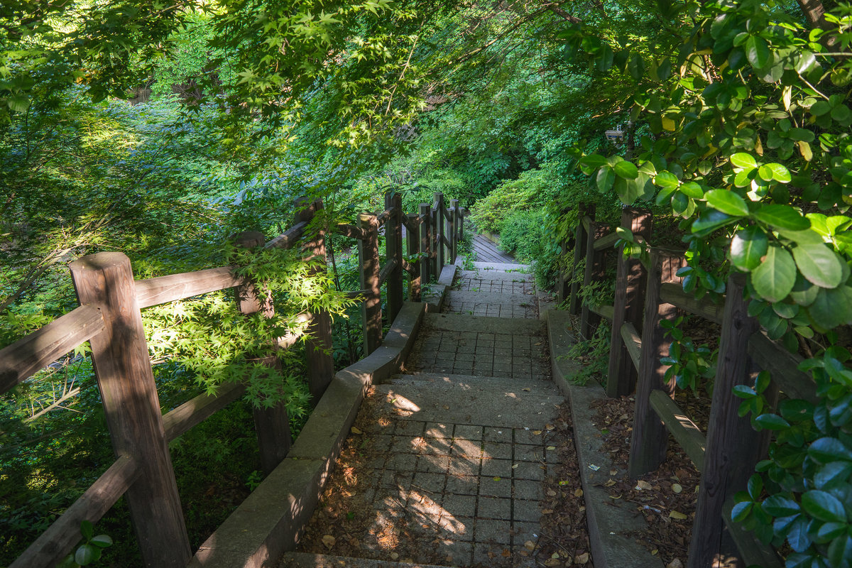 Namsan Park - Илья Меркулов