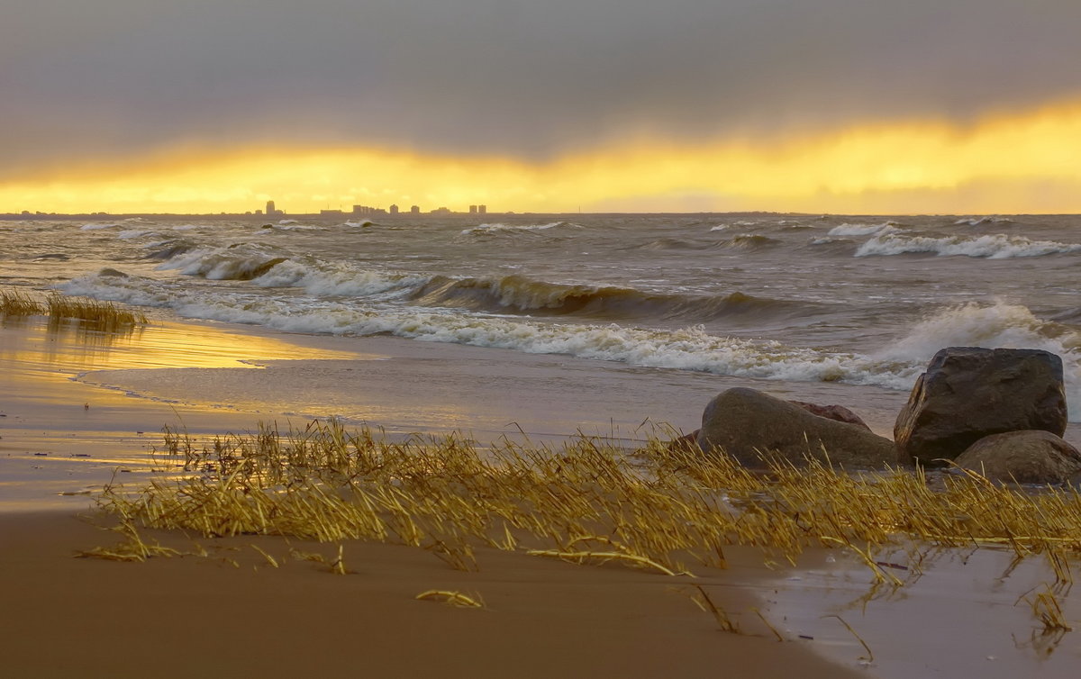 *** - Сергей Могутов *** - Сергей Могутов