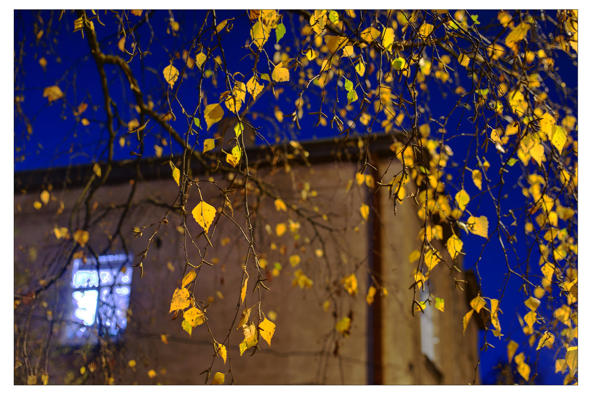 night on the town (HDR) - Linda Ratuta