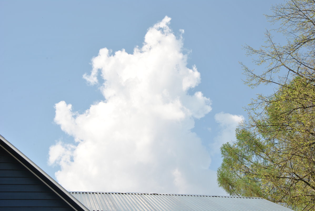 ВЕЛИКОЛЕПНЫЙ ВЖИК - Ольга ВЕЛИКОЛЕПНЫЙ ВЖИК - Ольга