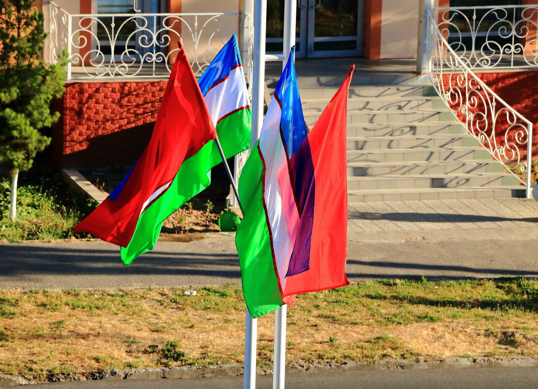 Все флаги в гости будут к нам... - Светлана 