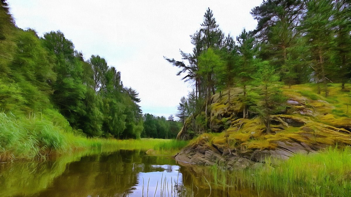 . - Ольга Cоломатина