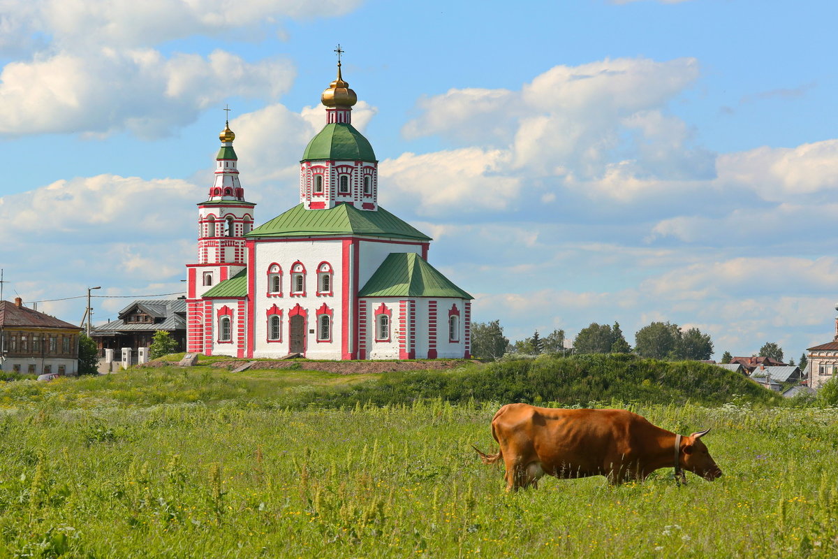 Сельская жизнь - Александр Сивкин