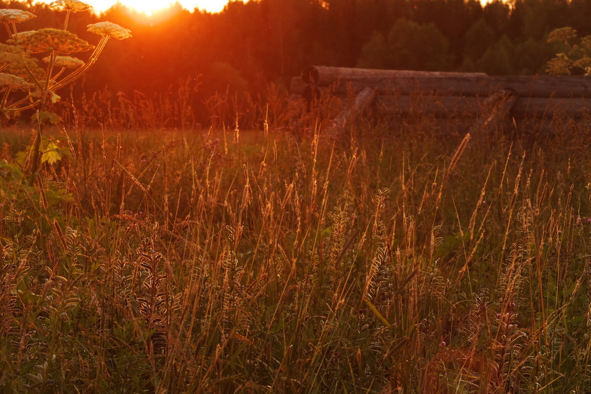 . - WINDKOS Ситников
