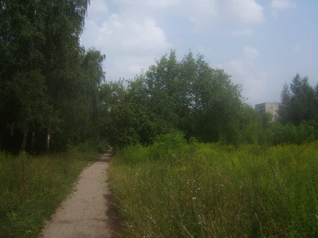 На парковой дорожке - Tarka На парковой дорожке - Tarka