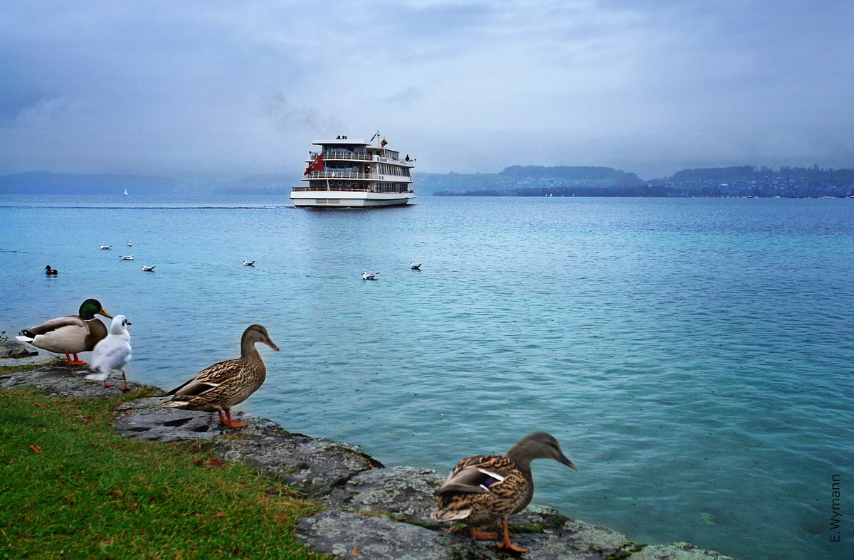 как провожают пароходы... - Elena Wymann как провожают пароходы... - Elena Wymann