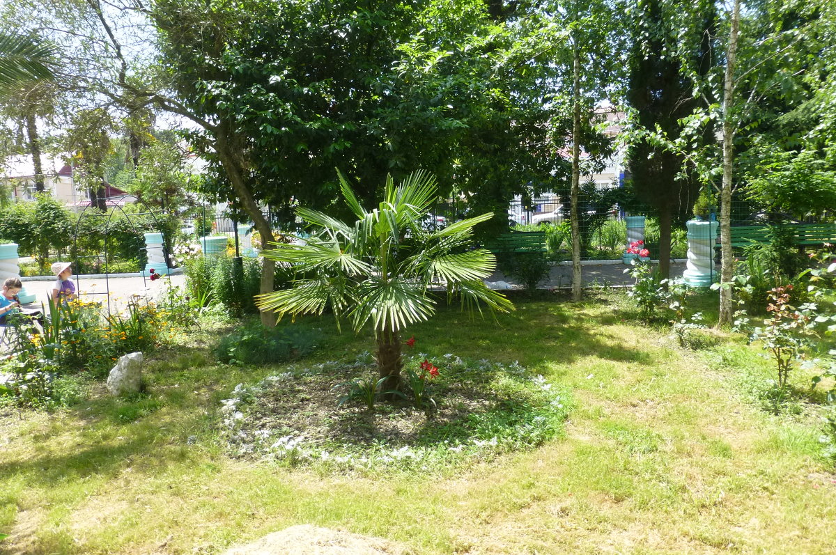 Адлер - Наиля 