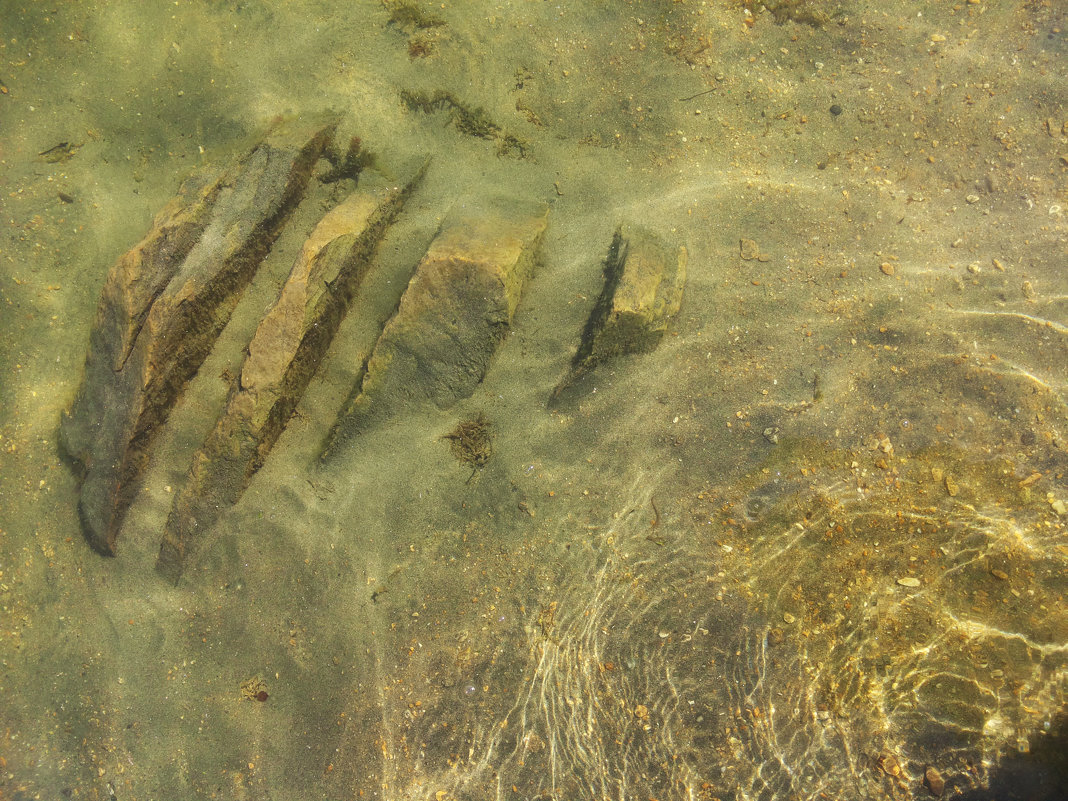 ... - Анна Ковалёва ... - Анна Ковалёва