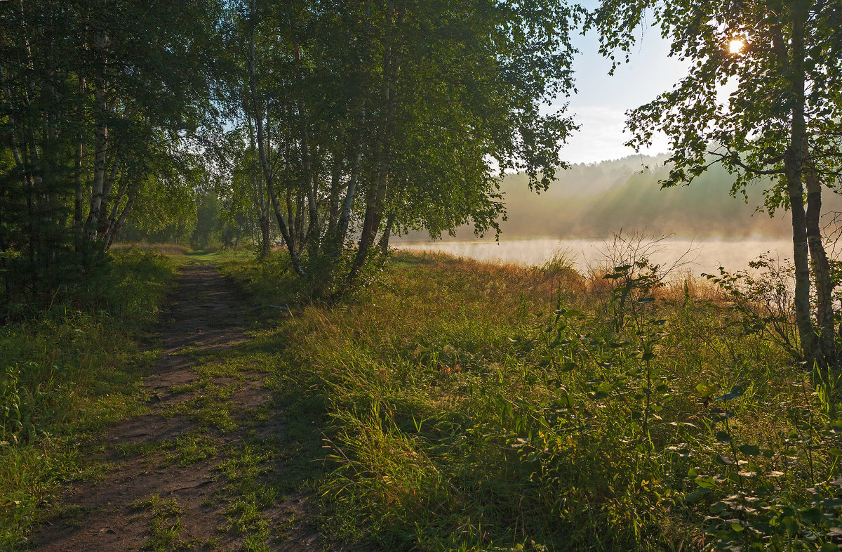 Утро туманное - Анатолий Иргл