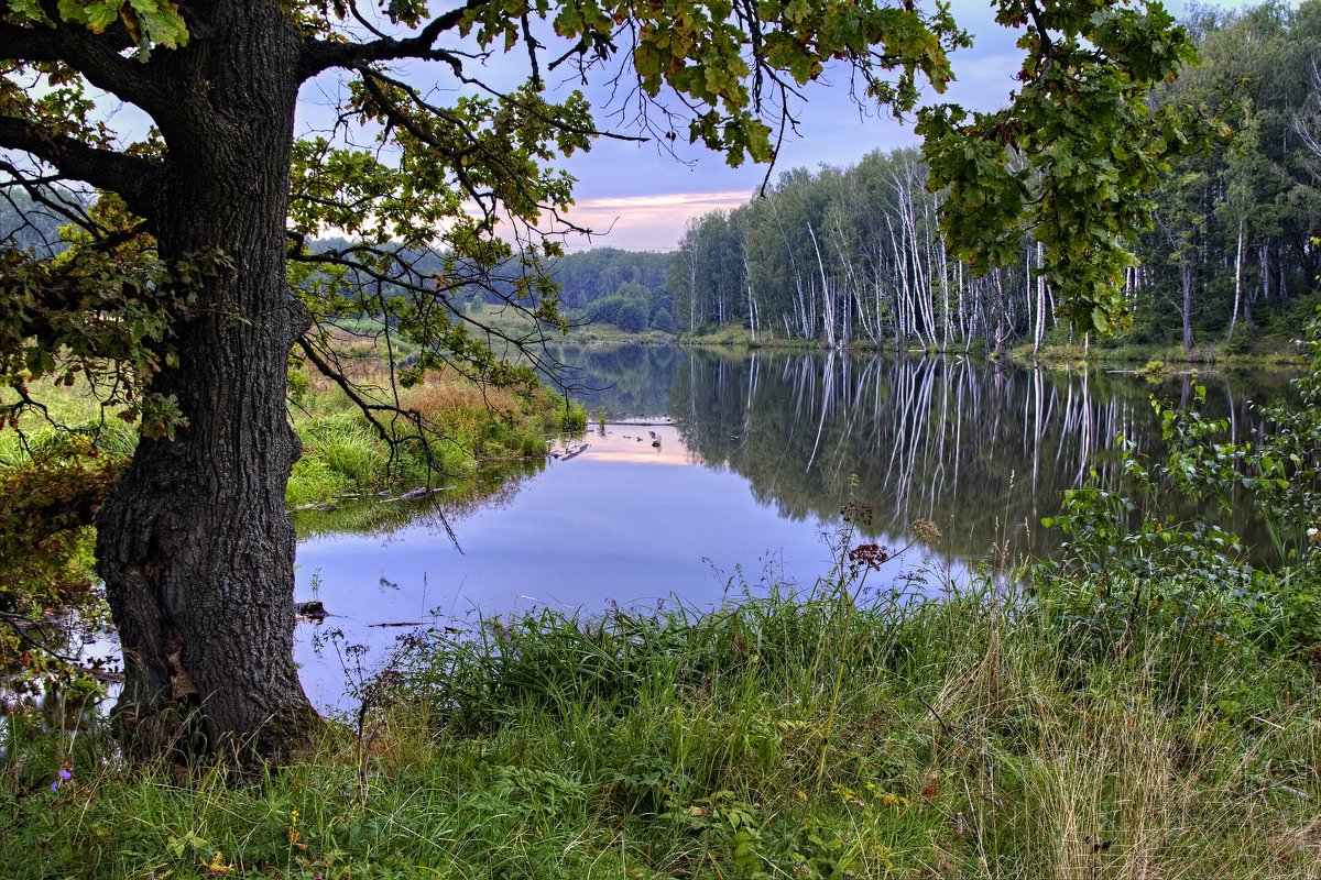 Подсмотренный вечер - Константин 