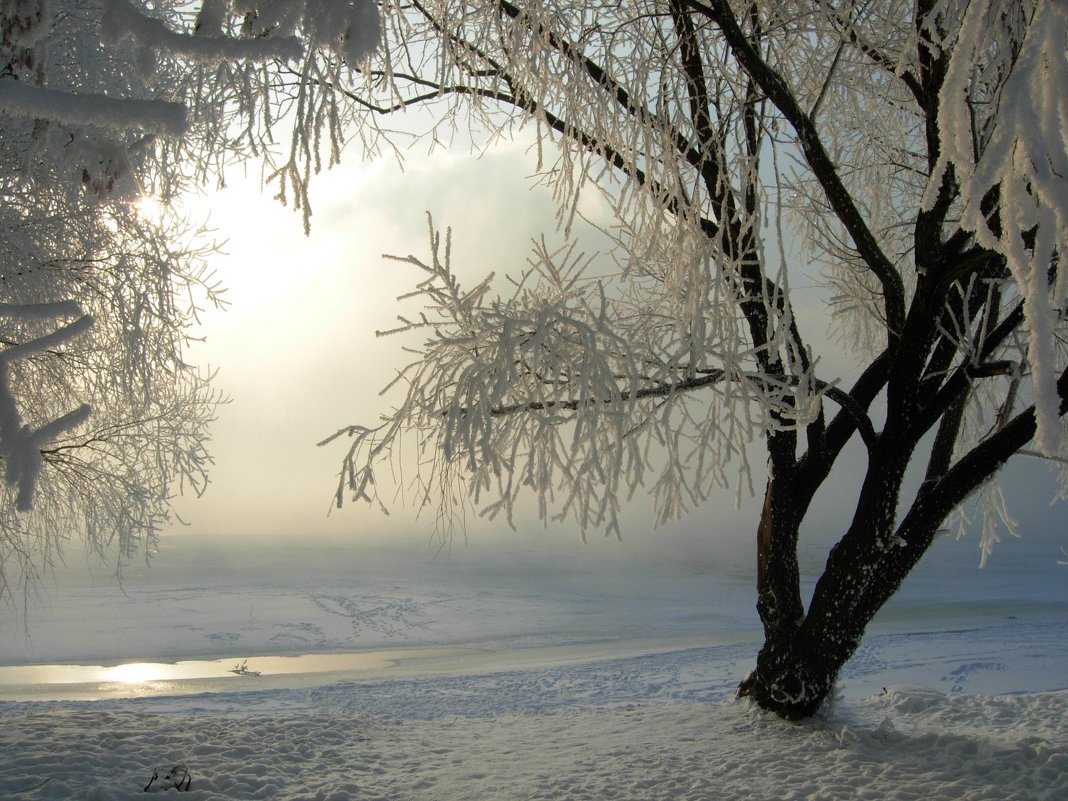 Утро 19_01_2010 в Коломенском - Виталий Купченко