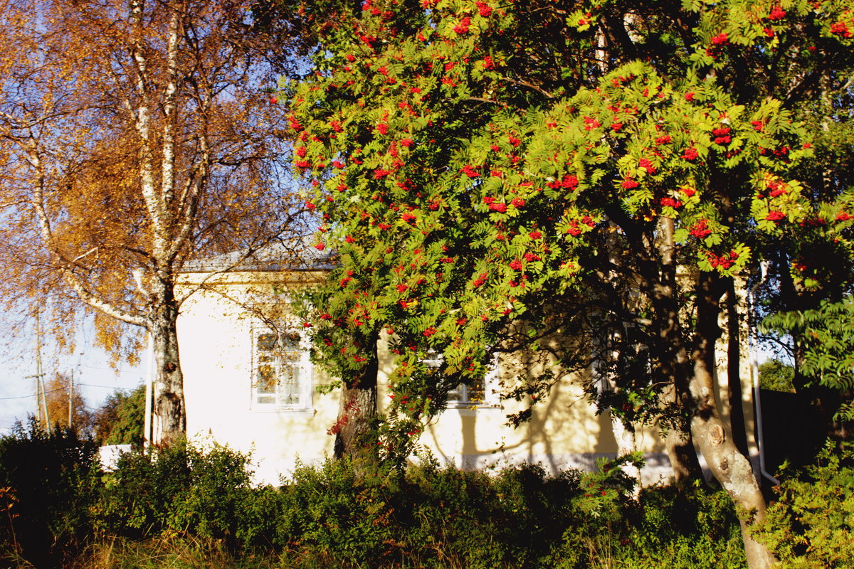 осень в городе - Сергей Кочнев