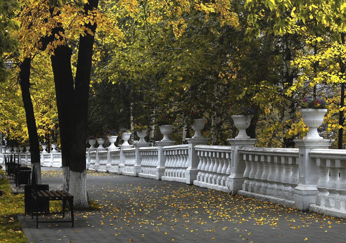 В осеннем парке - Сергей Елесин