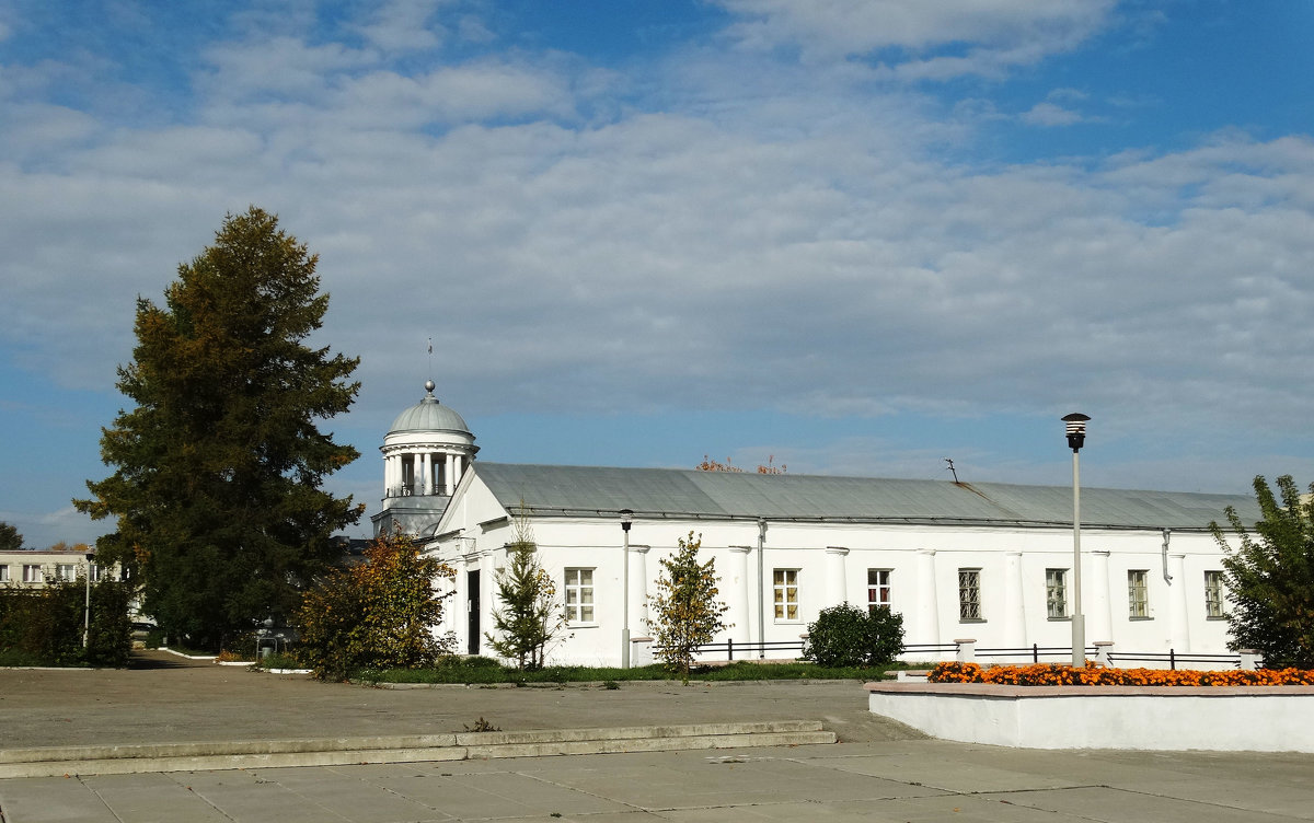 Городской музей - Александр Подгорный