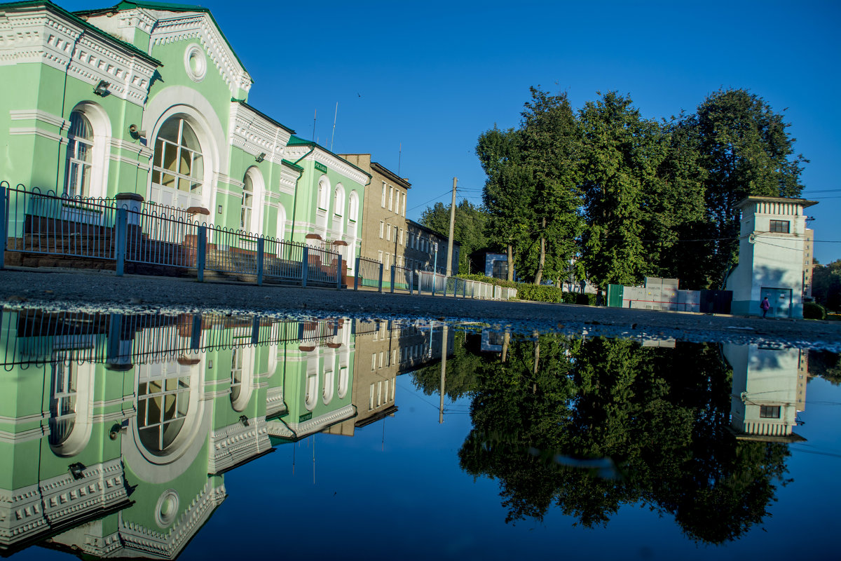 В зеркальном отражении - Павел Данилевский